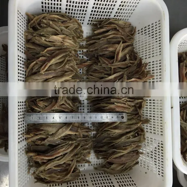 Hot Sales New Season Salted Anchovy Fillets photo-5