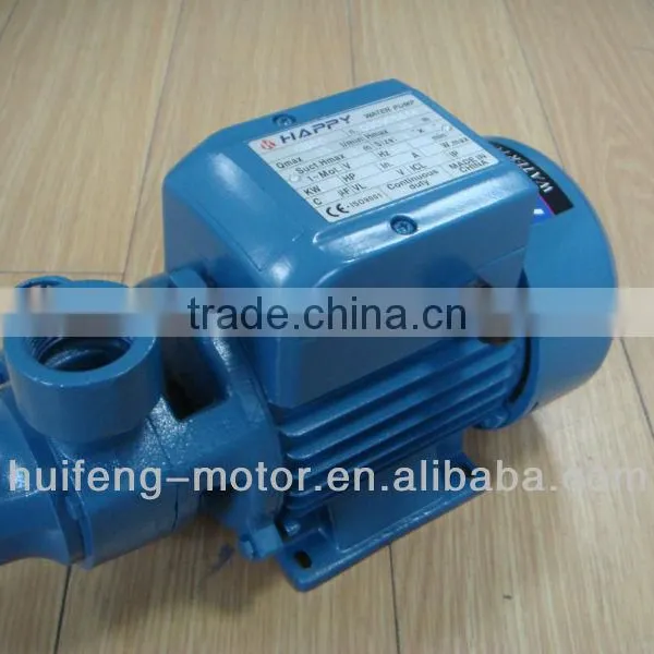 QB60 Water Pump