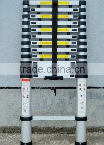 Telescopic Ladder