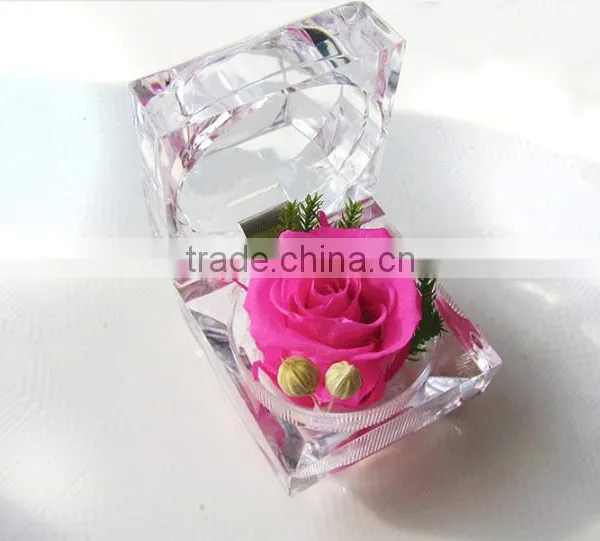 Real Natural Fresh Preserved Roses Flower Everlasting Preserved Roses photo-3