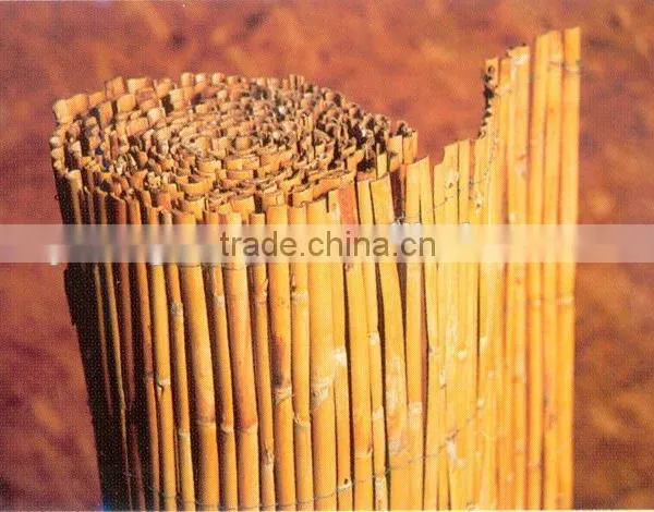 Reed Fence photo-6
