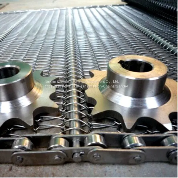 Food Chain Conveyor Belt, Shandong Manufacturers photo-5