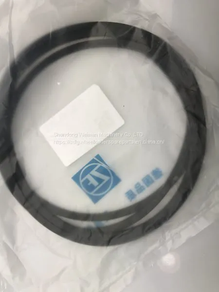 Hot Sale ZF 4WG200 Transmission Gearbox Spare Parts 0750 112 139 PROF. SEAL RING photo-2