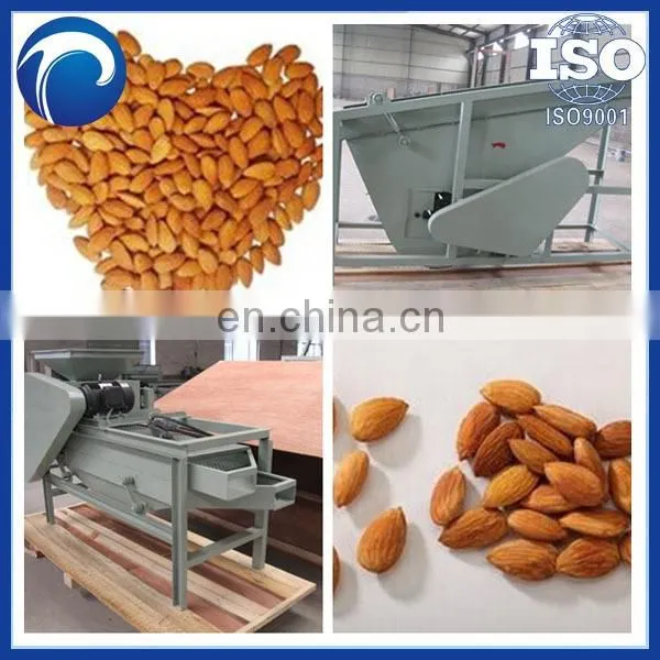 Latest Product Looking for Distributor Almond Cracking Almond Shelling Machine photo-4
