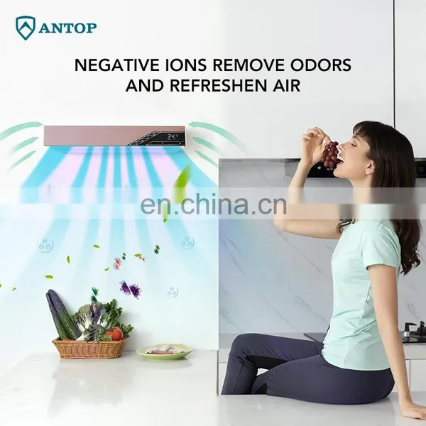Wall Mounting Ozone Generator Workshop Intelligent UVC Air Disinfection Purifier photo-3