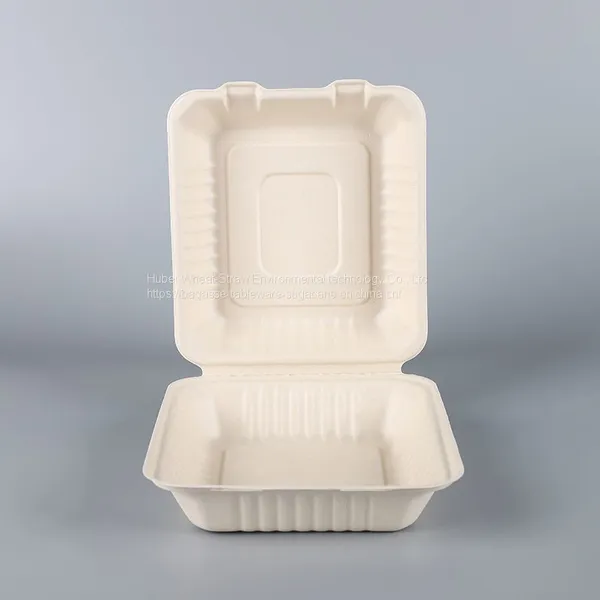 Biodegradable 8*8 Take Away Sugarcane Container photo-3