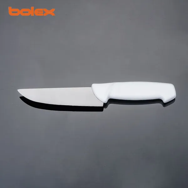 Professional Chef Cook Cater Kitchen Knife Colour Coded Handles Hotel Restaurant Sharpening Grinding CHINA CATERING SUPPLY Knifepro Knifespa Cutlery Services Rental Exchange photo-2