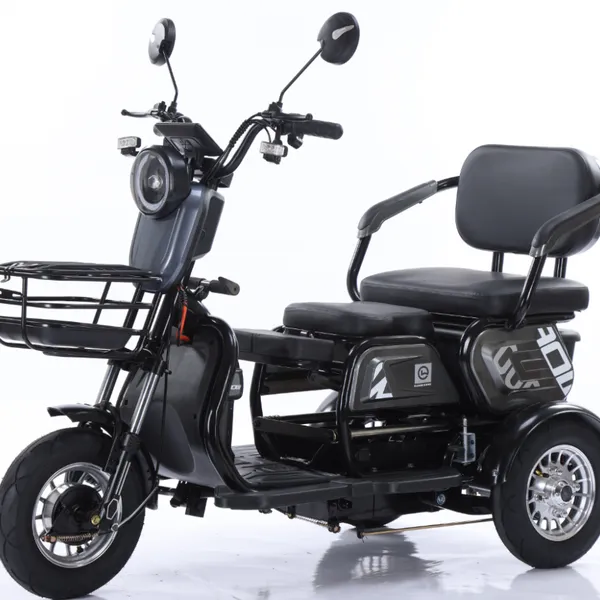 2025 Best 3 Wheel Passenger Tricycle Two Seat 48v Electric Tricycle Bike for Adults and Old People photo-2