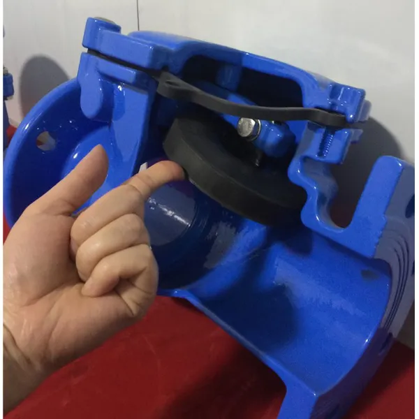 BS Rubber Flap H44J-10Q Ductile Iron Flange Swing Soft Seal Fire Water Pump Check Valve photo-2