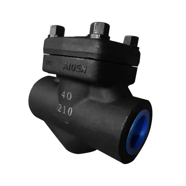 Manufacturer Direct Sales Threaded Check Valve Forged Steel Check Valve photo-4