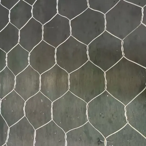 Galvanized Hexagonal Wire Mesh - PVC Coated Gabion Net for Garden Fencing, Animal Cages & Stone Retaining photo-4