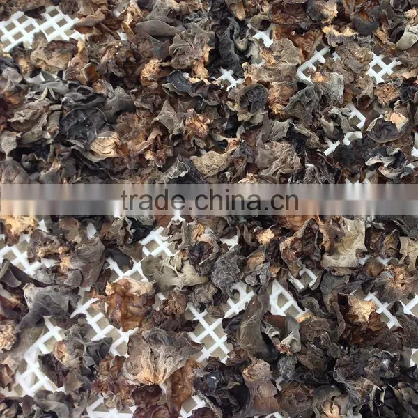 Dried Auricularia Auricula From China photo-2