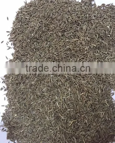 Cumin Seeds
