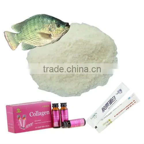 Fish Collagen,halal Collagen Product