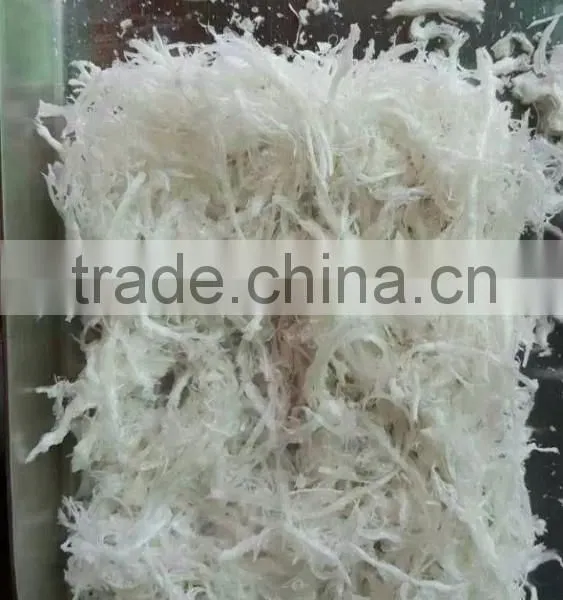 Cordyceps Sinensis Freeze Dryer photo-5