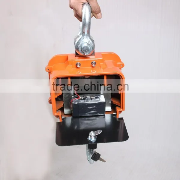 Large Capacity Low Price Crane Scale OCS-3T photo-2
