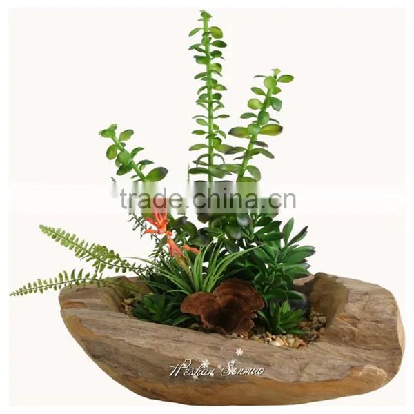 Natural Look Good Quality Artificial Succulent Bonsai Fake Succulent Plant Wholesale photo-3
