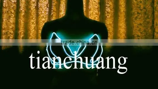 Yong Ladies Bra / Belly Dance Bra and Belt / LED Luminous Clothes
