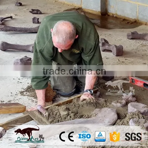 OA4075 High Quality Replica Dinosaur Fossils photo-5