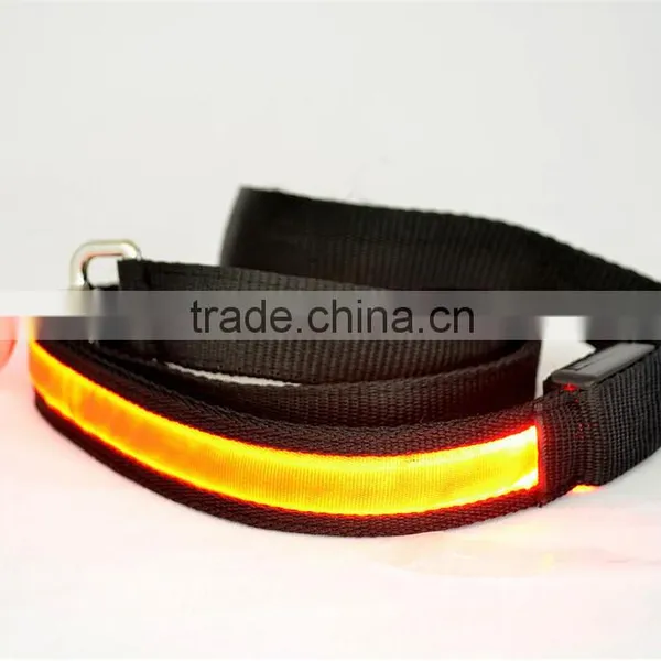 Waterproof Luminous LED Dog Collar Light Style Flash Led Dog Leash for Pet Dog photo-5