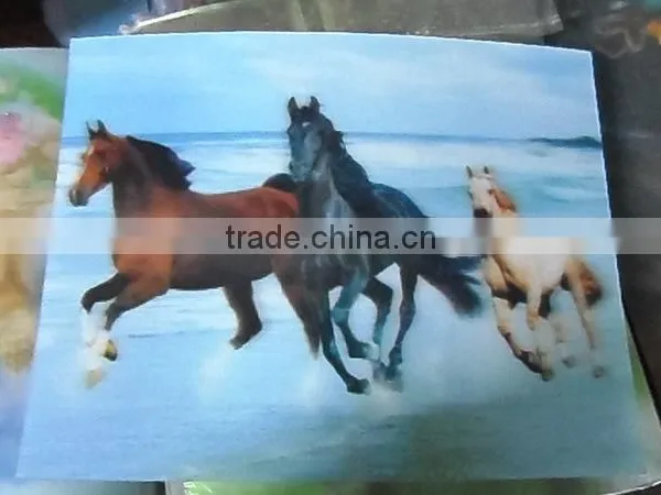 3d Lenticular Wall Decoration Painting