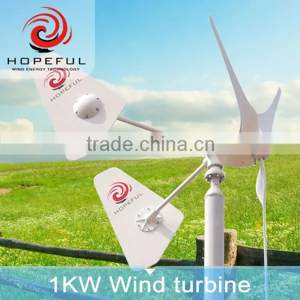 1kw Cheap Wind Generator 220v Homemade Electrical Generator for Sale photo-2