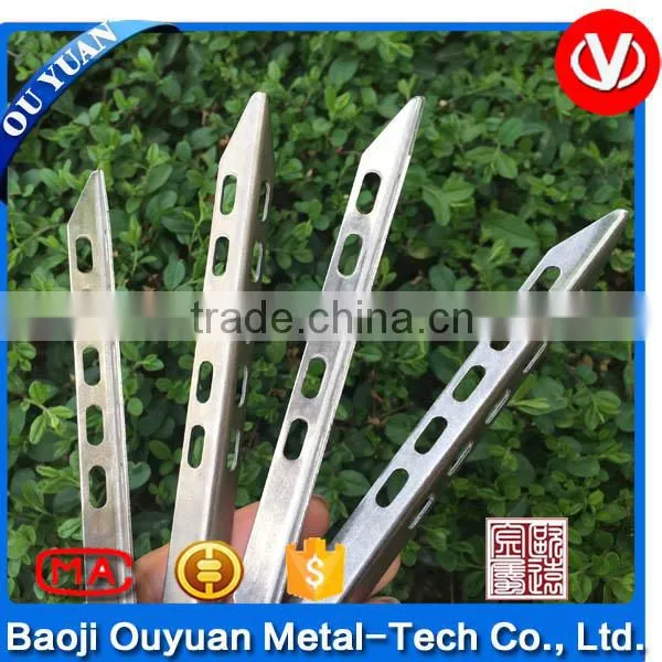 Titanium Nail Tent Stake