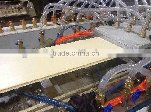 WPC Compostie Decking Machine photo-5