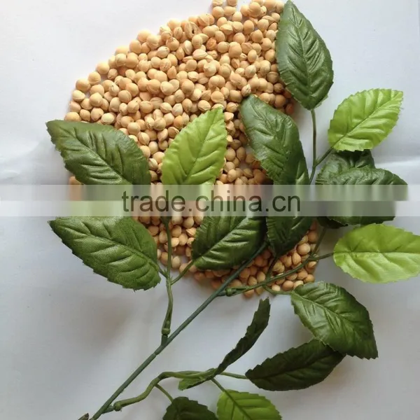 Bulk Dried Cherry Pits China Cherry Pits Fragrant Pillow Cherry Stone