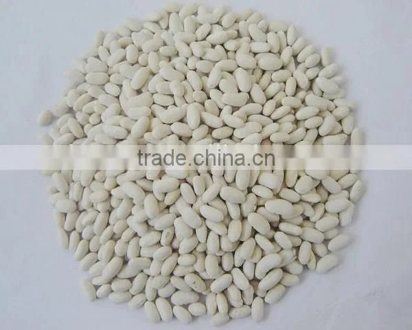 2015 New Crop Price of Baishake White Kidney Beans From China photo-5