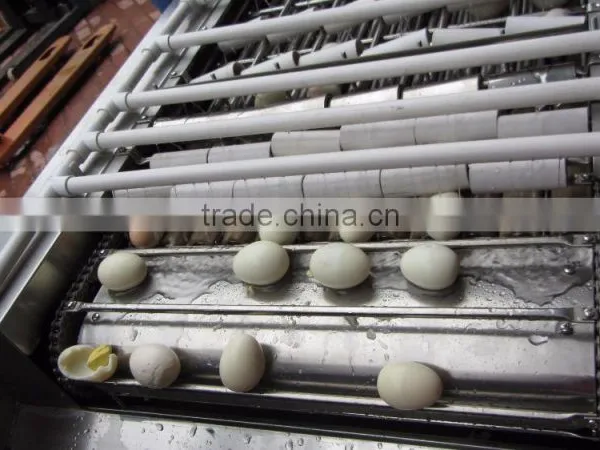 FT-200 High Capacity Boiled Chicken Hen Egg Shelling Breaking Peeling Machine photo-6