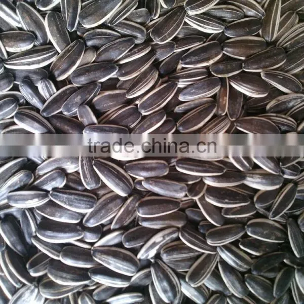 Online Sale Sunflower Seeds With Different Specification photo-2