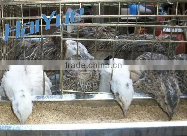 High Quality Quail Cage For Sale