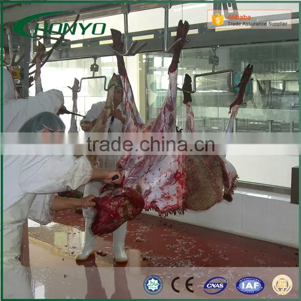 HALAL Automatic Sheep Conveying System Slaughtering Machine Of Sheep Abattoir Equipment photo-4