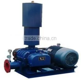 Rotary Vacuum Pump Gas Pumps Gas Boosters