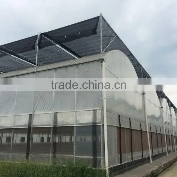 Commercial Plastic Hoop Vegetable Greenhouse photo-4