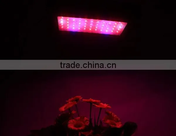 Shenzhen Factory Best Price 150W(55x3W) EPISTAR UFO LED Grow Light For Lettuce Plant Good Quality photo-5