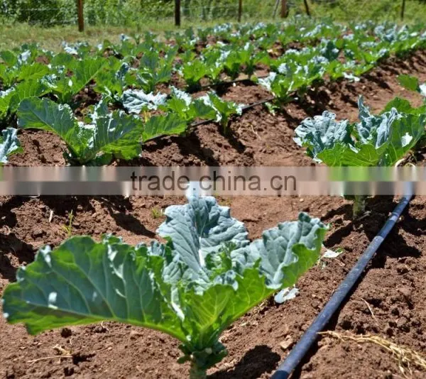 16mm/20mm Drip Irrigation Pipe Drip Pipe Drip Inline Pipe photo-4