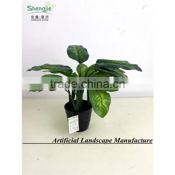 SAS201603 China Supplier Artificial Greenery Plant,Indoor Fake Ornamental Foliage Plant photo-6