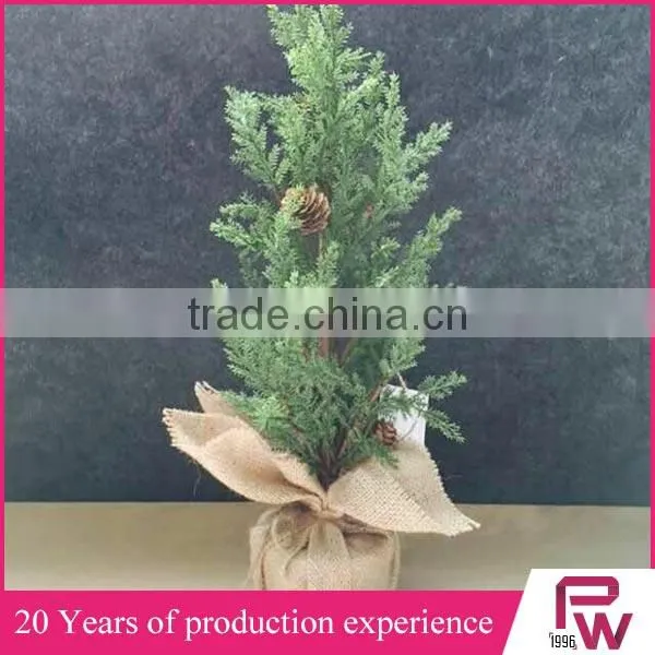 Factory High Quality Wholesale Small Decorative Pine Trees From China Supplier photo-5