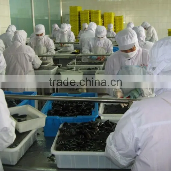 IQF Blue Mussel Without Shell photo-3