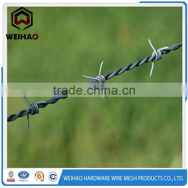 Barbed Wire Detention Housefence photo-5