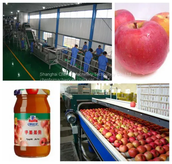 fruit jam and paste processing line