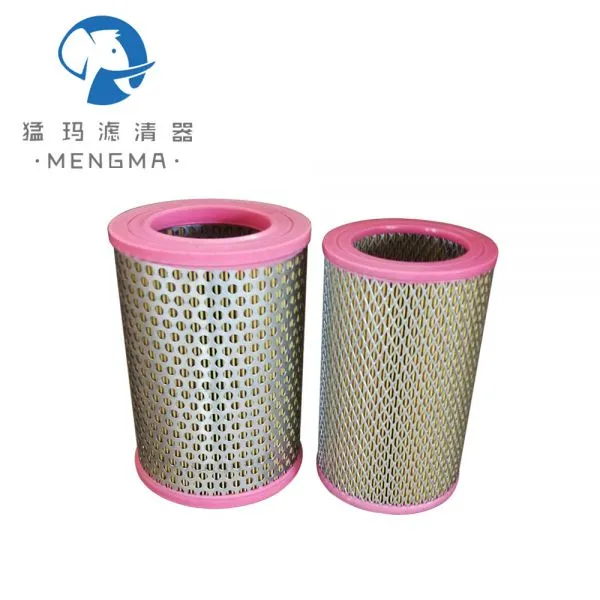 High Precision Replace Kaeser Screw Air Compressor Air Filter 6.2003.0 for oil free machine