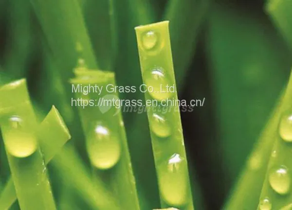 Multi-Purpose Synthetic Grass, MT-Peace