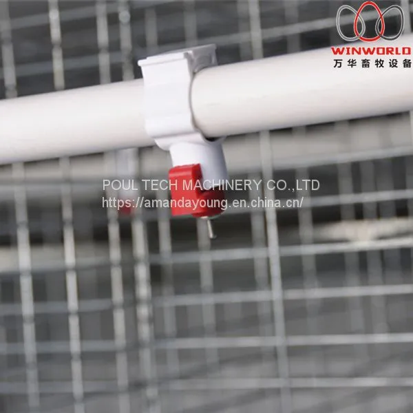 Mauritius Poultry Farm EquipmentBattery Broiler Cage & Meat Chicken Cage & Chicken Coop in Chicken Shed photo-2