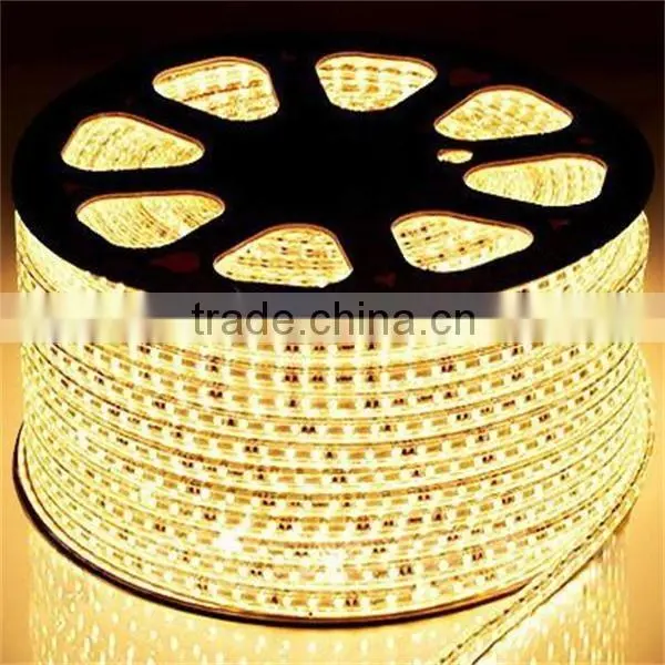Double Row Smd 2835 Flex Led Strip Warm White Cool White Dual Color Led photo-2