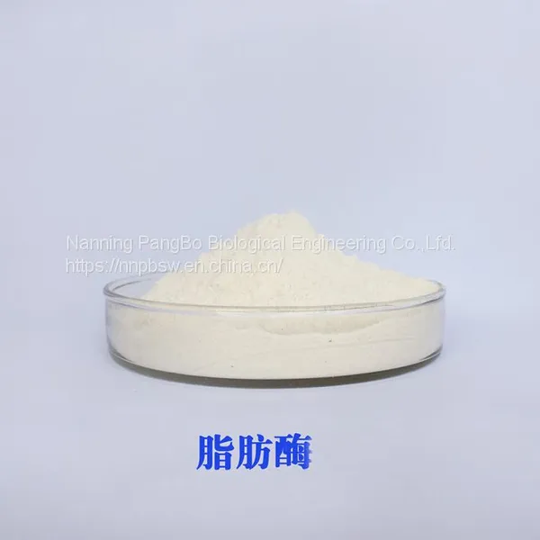LIPASE CAS：9001-62-1 Food Grade photo-2