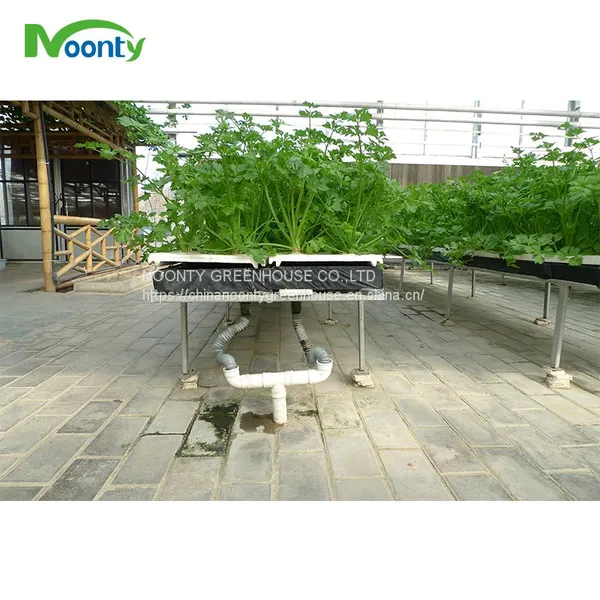 Farm Hydroponics photo-5