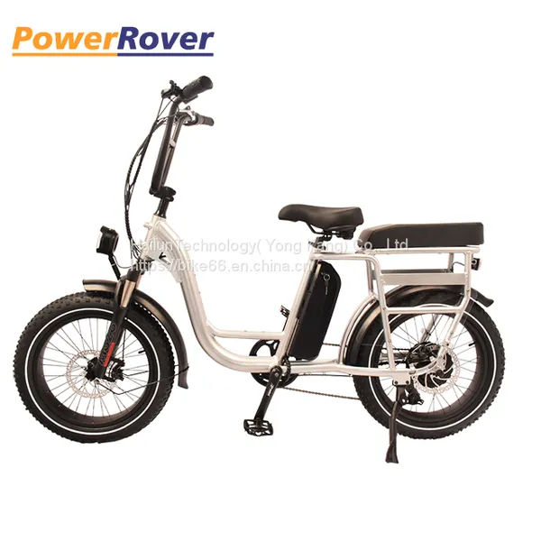 China Mid Drive Vintage Electric Bike for Sale/bicicleta Electrica Ebike /electric Bicycle From Factory photo-3